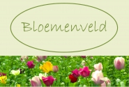 Bloemist Bloemenveld